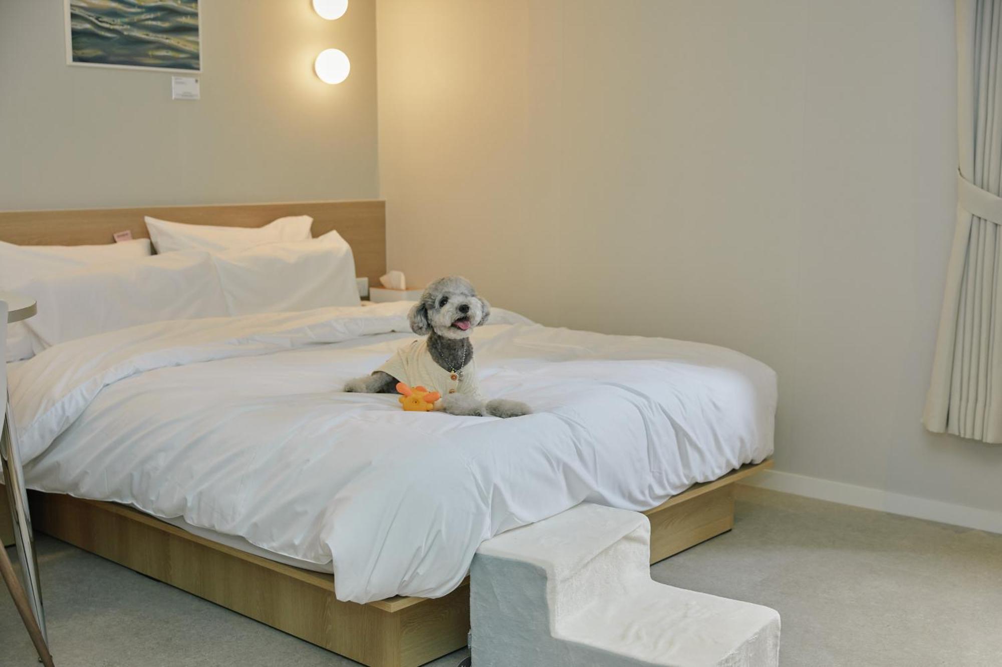 Aank Hotel Incheon Songdo Exterior photo